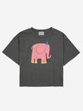 bobo choses the elepant t