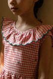 BEBE ORGANIC CLARA GINGHAM DRESS